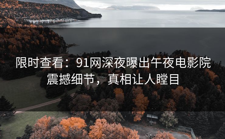 限时查看：91网深夜曝出午夜电影院震撼细节，真相让人瞠目