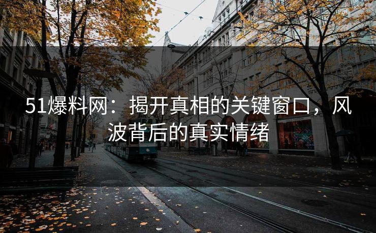 51爆料网：揭开真相的关键窗口，风波背后的真实情绪